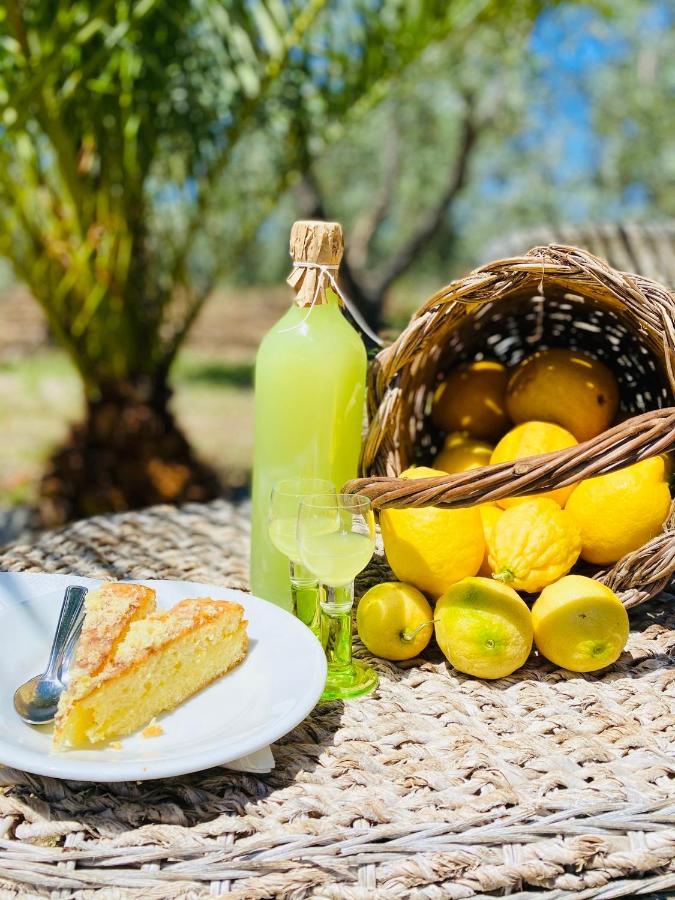 Agriturismo Azzarone Βιέστε Εξωτερικό φωτογραφία