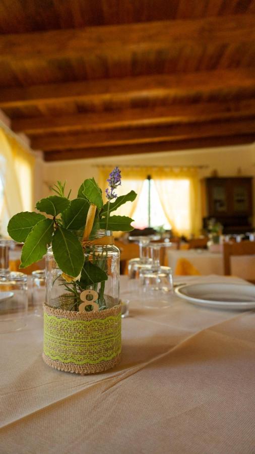 Agriturismo Azzarone Βιέστε Εξωτερικό φωτογραφία