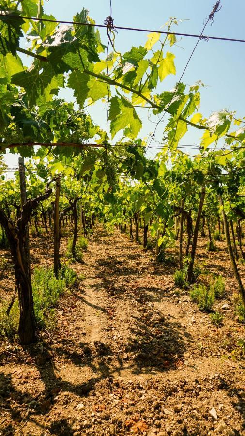 Agriturismo Azzarone Βιέστε Εξωτερικό φωτογραφία