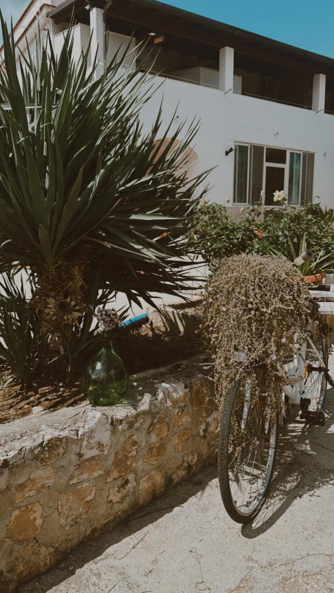 Agriturismo Azzarone Βιέστε Εξωτερικό φωτογραφία